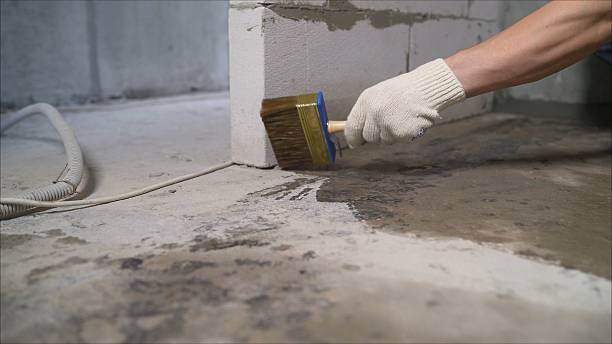 24/7 Emergency Crawl Space Encapsulation experts in Deer Park, WA